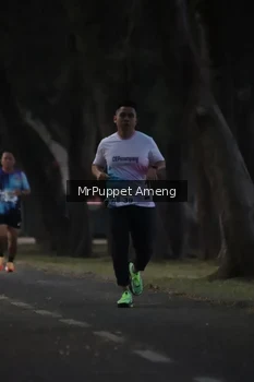 Runner Photo 4312613