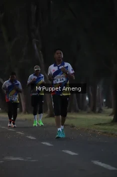 Runner Photo 4312614