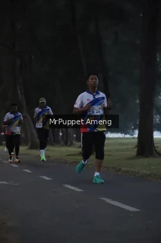 Runner Photo 4312618