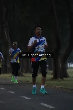 Runner Photo 4312619