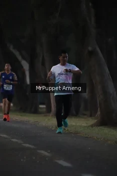 Runner Photo 4312628