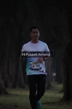 Runner Photo 4312631