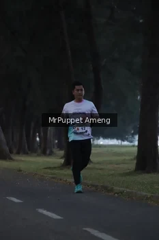 Runner Photo 4312632