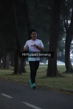 Runner Photo 4312633