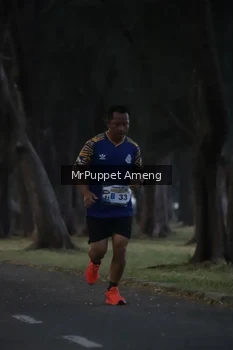 Runner Photo 4312636