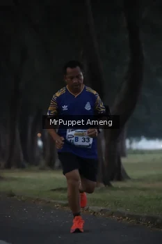 Runner Photo 4312637