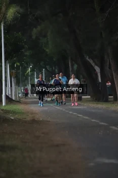 Runner Photo 4312639