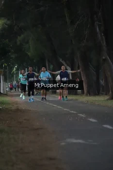 Runner Photo 4312641