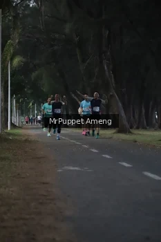 Runner Photo 4312646