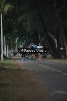 Runner Photo 4312648