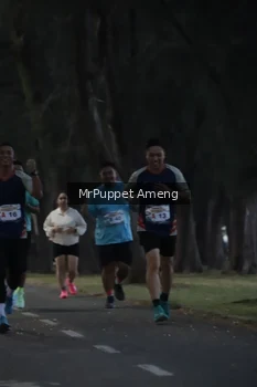Runner Photo 4312649