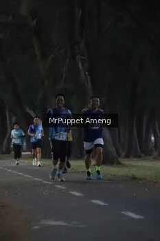 Runner Photo 4312656