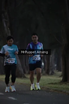 Runner Photo 4312666