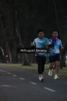Runner Photo 4312670