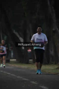 Runner Photo 4312673