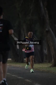 Runner Photo 4312677