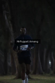 Runner Photo 4312682