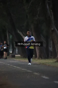Runner Photo 4312686