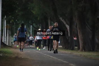 Runner Photo 4312692