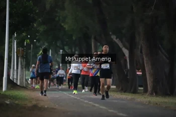 Runner Photo 4312693