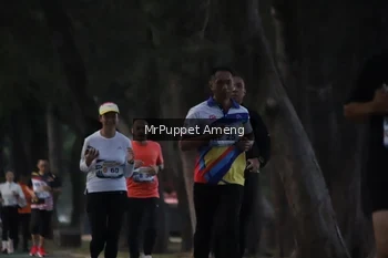 Runner Photo 4312695