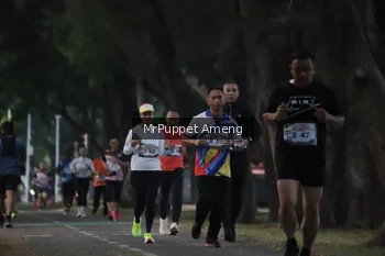 Runner Photo 4312696