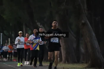 Runner Photo 4312699