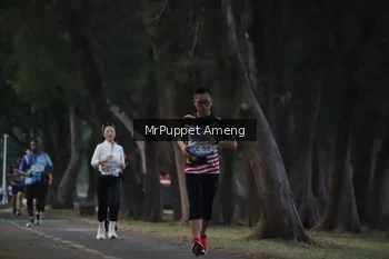 Runner Photo 4312709