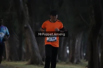 Runner Photo 4312719