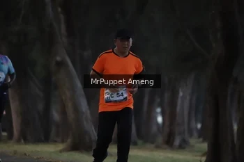 Runner Photo 4312720