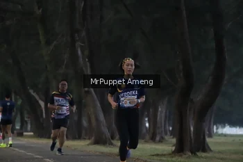 Runner Photo 4312732