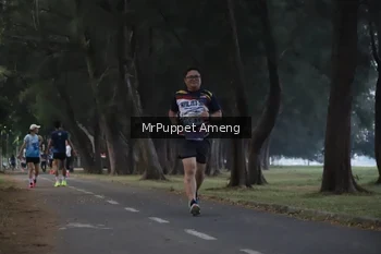 Runner Photo 4312737