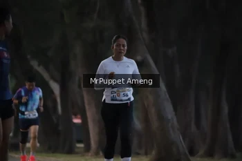 Runner Photo 4312738