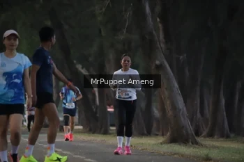 Runner Photo 4312741
