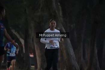 Runner Photo 4312742