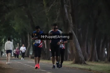 Runner Photo 4312755