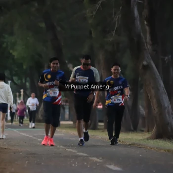 Runner Photo 4312756