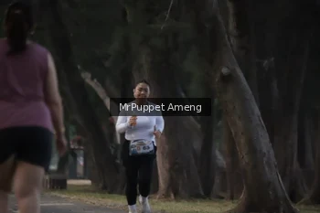 Runner Photo 4312759