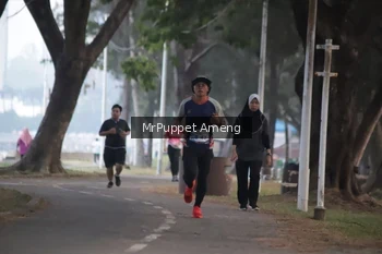 Runner Photo 4312781