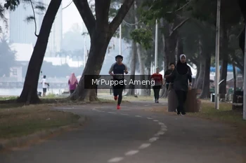 Runner Photo 4312782
