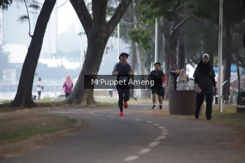 Runner Photo 4312783