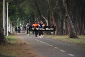 Runner Photo 4312786