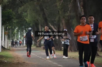 Runner Photo 4312796