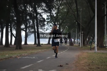 Runner Photo 4312813
