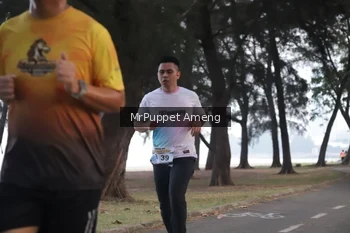Runner Photo 4312841