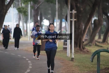 Runner Photo 4312854