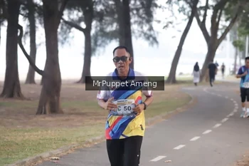 Runner Photo 4312887