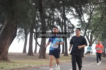 Runner Photo 4312929