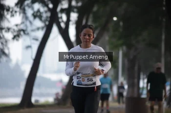 Runner Photo 4312981