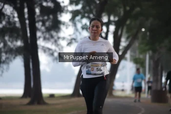 Runner Photo 4312987
